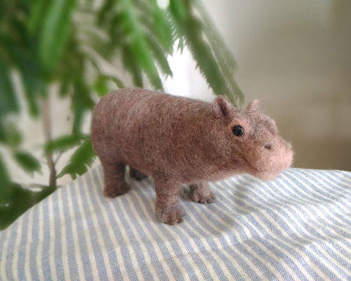 0_212b972d44a670a7c55ec994c9c7