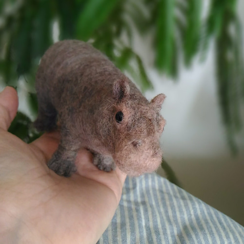 羊毛 カバさん 羊毛フェルト 華梨 通販 4523871｜Creema(クリーマ)