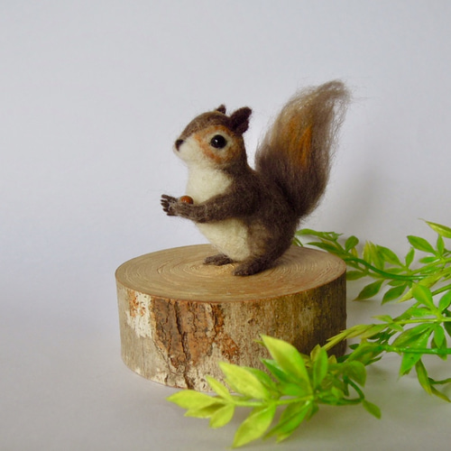 リス☆どんぐり