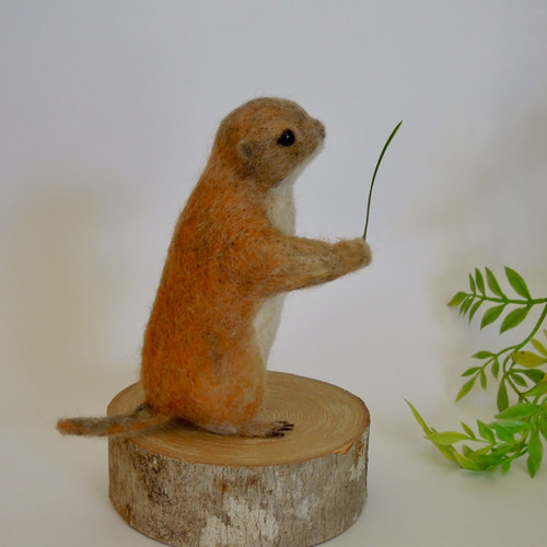 羊毛＊プレーリードッグ 羊毛フェルト 華梨 通販 6773011｜Creema