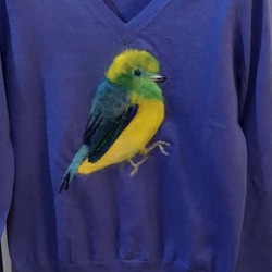 受注制作　お絵描き刺繍　大: お手持ちのニットに羊毛で刺繍をいたします。（中サイズ2つもこちらです。) 3枚目の画像