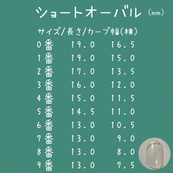 計測用ネイルチップ 2枚目の画像