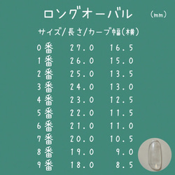 計測用ネイルチップ 3枚目の画像