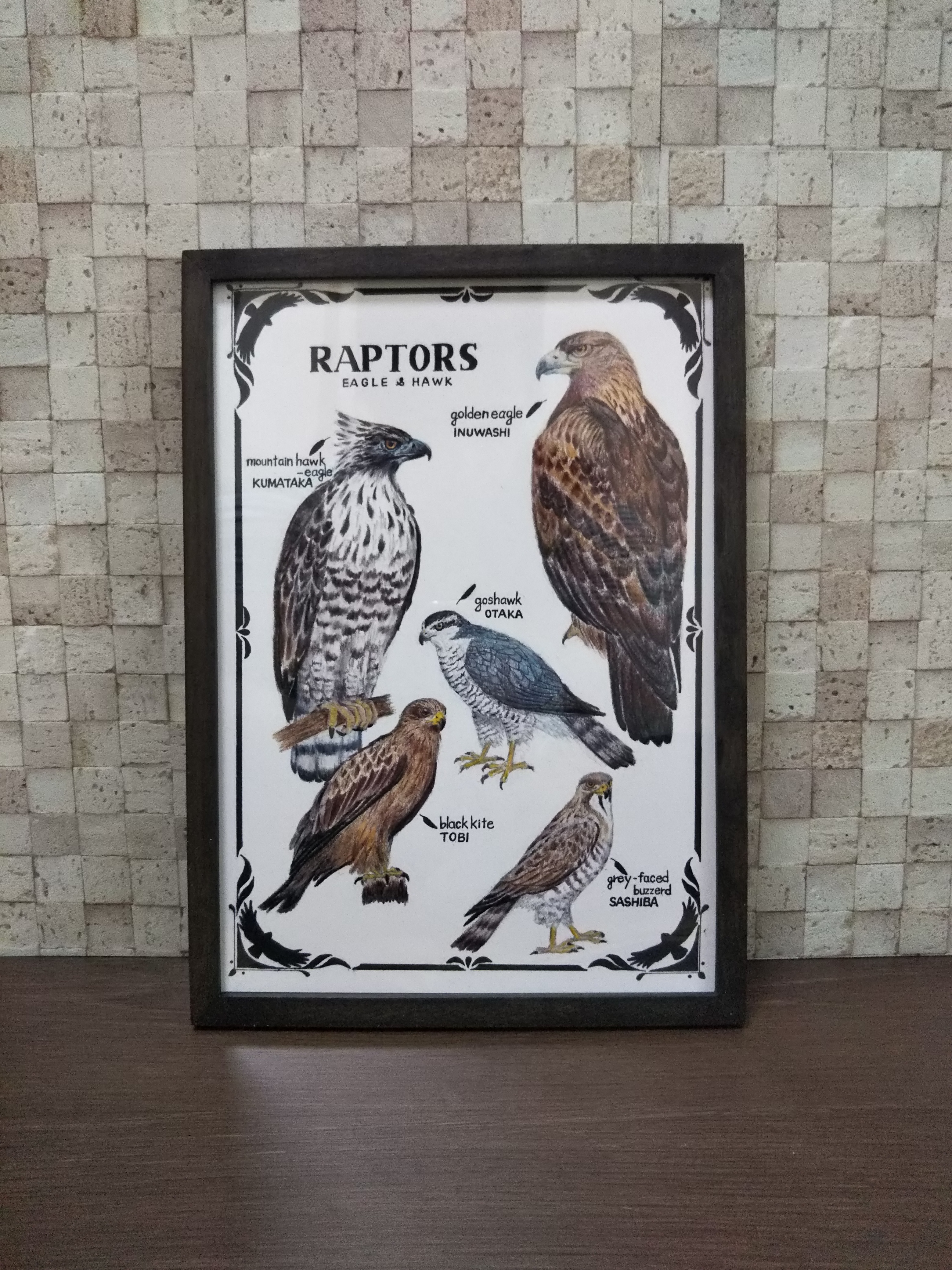 原画『 shaping Hawk 』アクリル水彩 絵画 アート イラスト 猛禽類 原画『 shaping Hawk 』アクリル水彩 絵画 アート イラスト 猛禽類