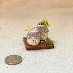 北欧の小さな家セットS〜プリザーブドフラワーの貝殻オブジェ 3枚目の画像