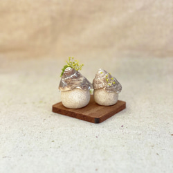 北欧の小さな家セットS〜プリザーブドフラワーの貝殻オブジェ 5枚目の画像