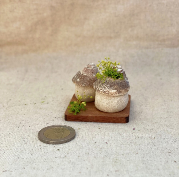 北欧の小さな家セットS〜プリザーブドフラワーの貝殻オブジェ 6枚目の画像