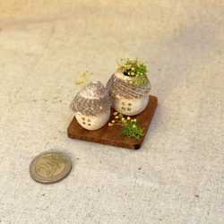 北欧の小さな家セットS〜プリザーブドフラワーの貝殻オブジェ 7枚目の画像