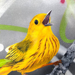 グラフィティアート【yellow warbler】キャンバス 原画40.9㎝×31.8㎝ 2枚目の画像