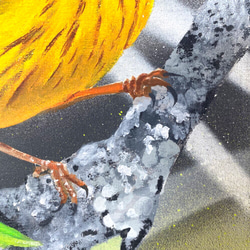 グラフィティアート【yellow warbler】キャンバス 原画40.9㎝×31.8㎝ 3枚目の画像
