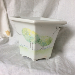 (訳あり) 白い陶器の『森の、植木鉢♪』 2枚目の画像