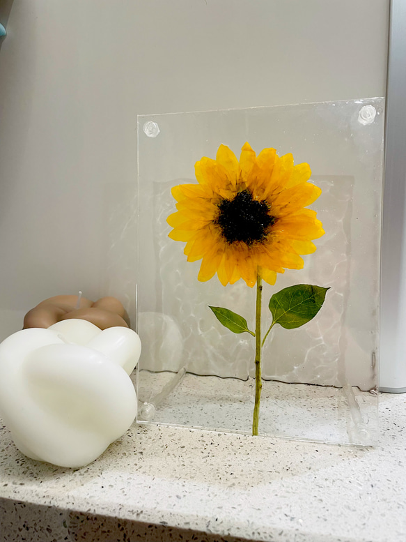 向日葵（ひまわり）の押し花のシンプルインテリア1 その他