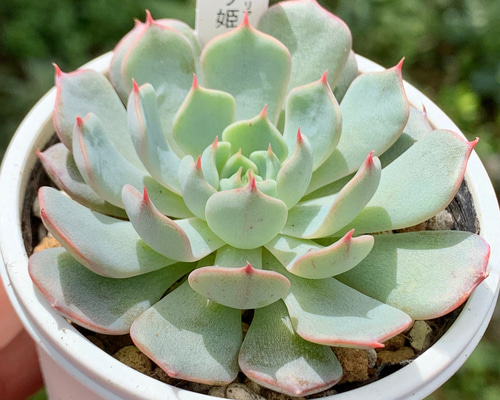 1_8cb9a72f3d4a6fd65f6d6efa9c9f