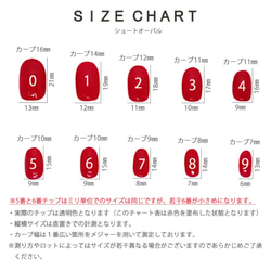 ネイルチップ　フレンチ　くすみ　秋　オータム　おしゃれ　ラメフレンチ 6枚目の画像