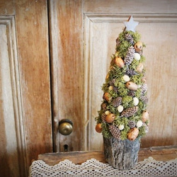 【再販】モスと実もののクリスマスツリー 1枚目の画像