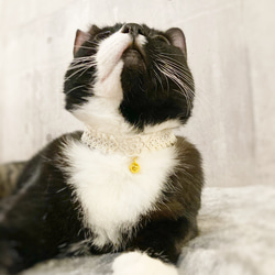 【猫首輪】タティングレースの首輪　チャリティ作品 8枚目の画像