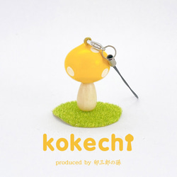 kokechi帶（Kinopi，黃） 第3張的照片