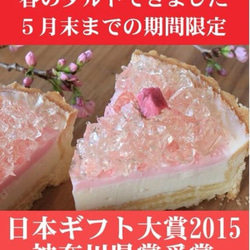 5月7～19日のお届け受付終了です「桜のレアチーズタルト」桜・春・母の日・パーティー 2枚目の画像