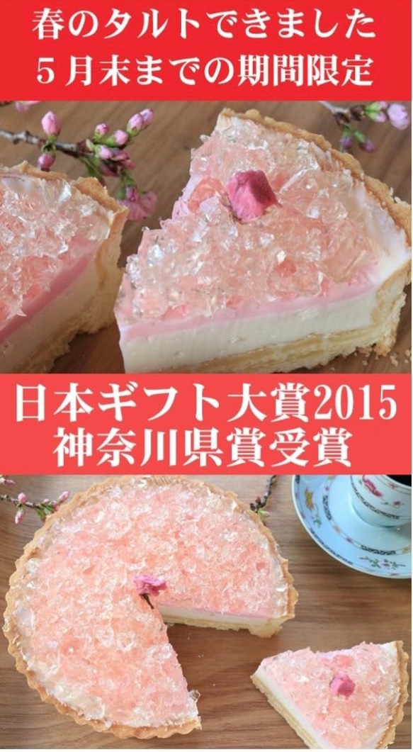 【5月末までの期間限定です！】[桜ハンドメイド2025]「湘南小田原の桜のレアチーズタルト」 3枚目の画像