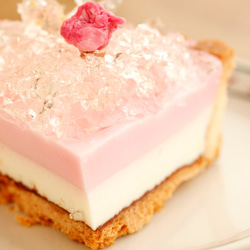 【5月末までの期間限定です！】[桜ハンドメイド2025]「湘南小田原の桜のレアチーズタルト」 5枚目の画像