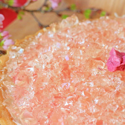 【5月末までの期間限定です！】[桜ハンドメイド2025]「湘南小田原の桜のレアチーズタルト」 6枚目の画像