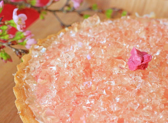 【5月末までの期間限定です！】[桜ハンドメイド2025]「湘南小田原の桜のレアチーズタルト」 6枚目の画像