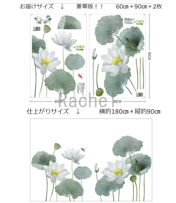 豪華版ウォールステッカーF77　蓮の花　トンボ　夏　池　和風　ウォールデコ 5枚目の画像