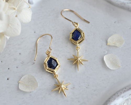 14kgf☆夜空のピアス ピアス（フック・チェーン） lovebird 通販