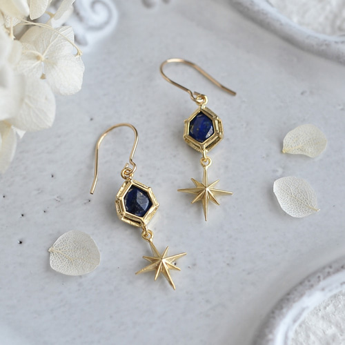 14kgf☆夜空のピアス ピアス（フック・チェーン） lovebird 通販