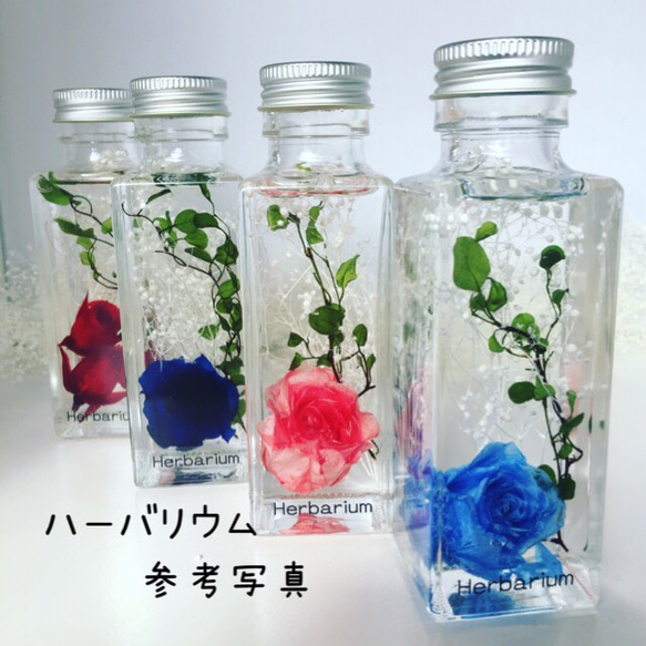 プリザーブド花材☆薔薇のオレンジ系セット☆ハーバリウム等に 3枚目の画像