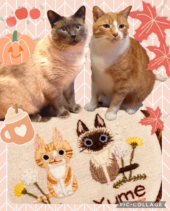 【オーダーメイド】猫ちゃん刺繍壁掛け飾り。完全カスタマイズ可能。名前・記念日入り 7枚目の画像
