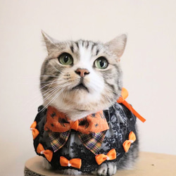 猫服　ケープ（ハロウィンオレンジ） 2枚目の画像