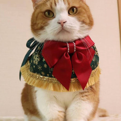 猫服　ケープ　クリスマスベル 2枚目の画像