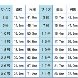 木與銀的戒指　RING0012 第4張的照片