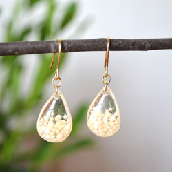ﾟ星の砂のしずくピアス *ﾟ ピアス（フック・チェーン） PLOP accessory