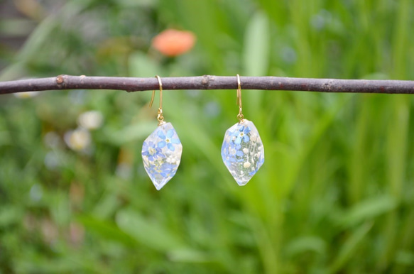 *ﾟ勿忘草のクリスタルフックピアス *ﾟ Blue 3枚目の画像