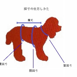 家庭編み機で編んだ子犬用セーター《赤》サイズオーダ可 9枚目の画像