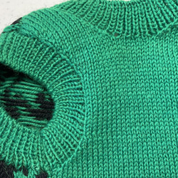家庭編み機で編んだ子犬用セーター《グリーン》サイズオーダ可 4枚目の画像