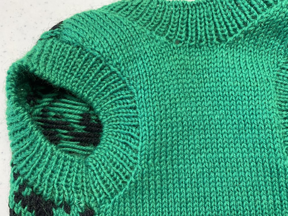 家庭編み機で編んだ子犬用セーター《グリーン》サイズオーダ可 4枚目の画像