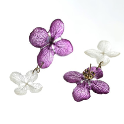 《植物染》 葉脈繡球花系耳環【紫染】· 14kgf 《可替換耳環》 第3張的照片