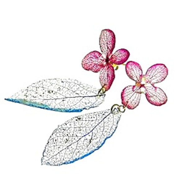【定做】《植物染色》葉脈繡球花邊耳環（天然青金石染色）・14kgf《耳環收貨》 第6張的照片