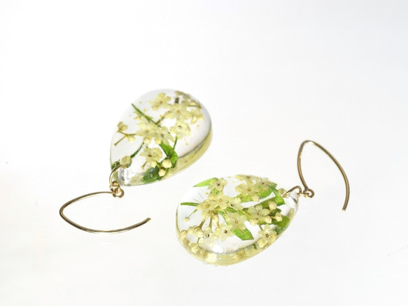 【受注製作】山野草 森の花のピアス C (ガマズミ)・14kgf《イヤリングに交換可》 4枚目の画像