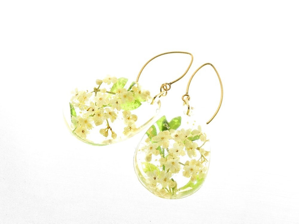 【受注製作】山野草 森の花のピアス C (ガマズミ)・14kgf《イヤリングに交換可》 1枚目の画像