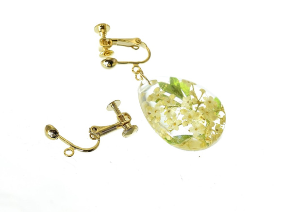 【受注製作】山野草 森の花のピアス C (ガマズミ)・14kgf《イヤリングに交換可》 6枚目の画像