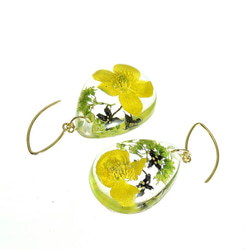 【受注製作】山野草 森の花のピアス I (リュウキンカ・ヒメアオキ)・14kgf《イヤリングに交換可》 3枚目の画像