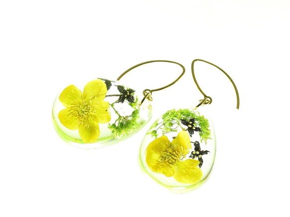 【受注製作】山野草 森の花のピアス I (リュウキンカ・ヒメアオキ)・14kgf《イヤリングに交換可》 1枚目の画像
