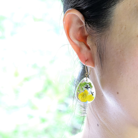 【受注製作】山野草 森の花のピアス I (リュウキンカ・ヒメアオキ)・14kgf《イヤリングに交換可》 2枚目の画像