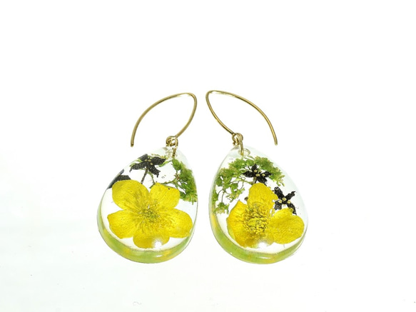 【受注製作】山野草 森の花のピアス I (リュウキンカ・ヒメアオキ)・14kgf《イヤリングに交換可》 4枚目の画像