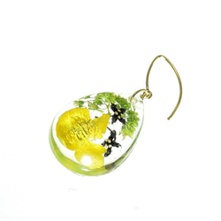 【受注製作】山野草 森の花のピアス I (リュウキンカ・ヒメアオキ)・14kgf《イヤリングに交換可》 5枚目の画像