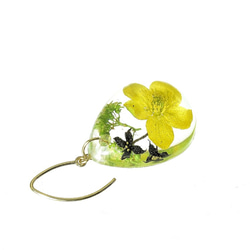 【受注製作】山野草 森の花のピアス I (リュウキンカ・ヒメアオキ)・14kgf《イヤリングに交換可》 6枚目の画像